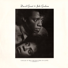 DAVID GRANT - Could It Be I'm Falling In Love